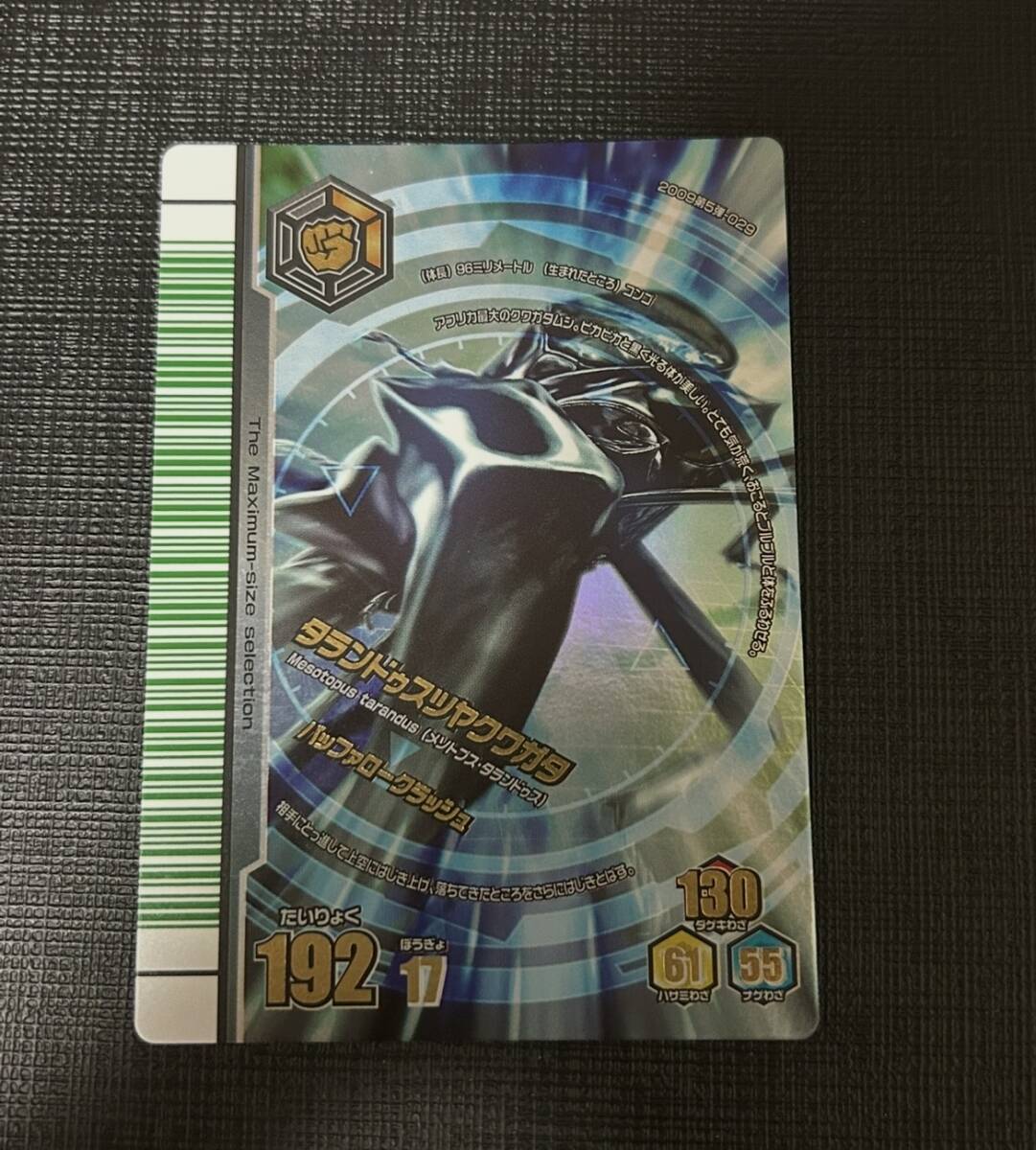 美品 タランドゥスツヤクワガタ 2007年FG ムシキング オマケ