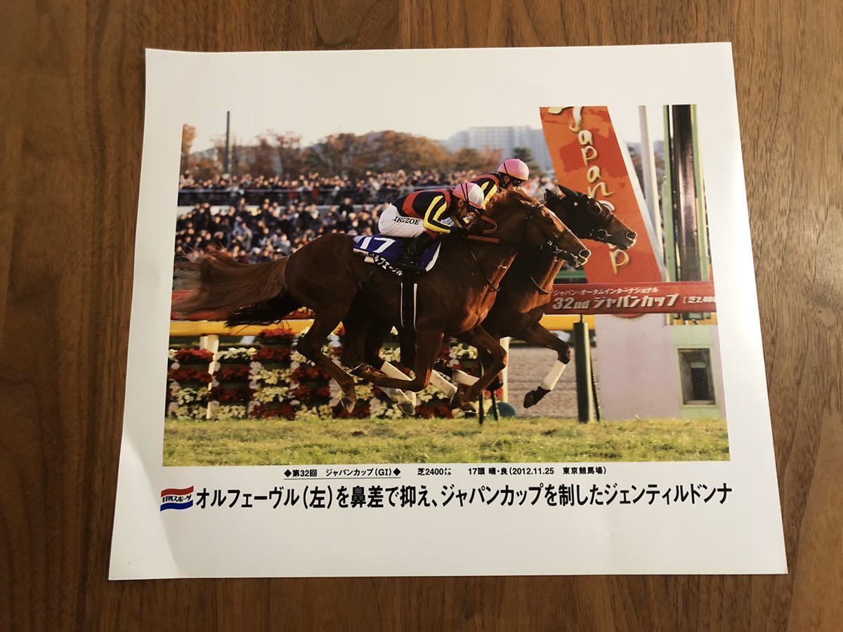 希少非売品ジェンティルドンナ 第33回ジャパンカップゴール/34回JRAポスター 販売 第33回ジャパンCポスター ジェンティルドンナ ジェンティルドンナ