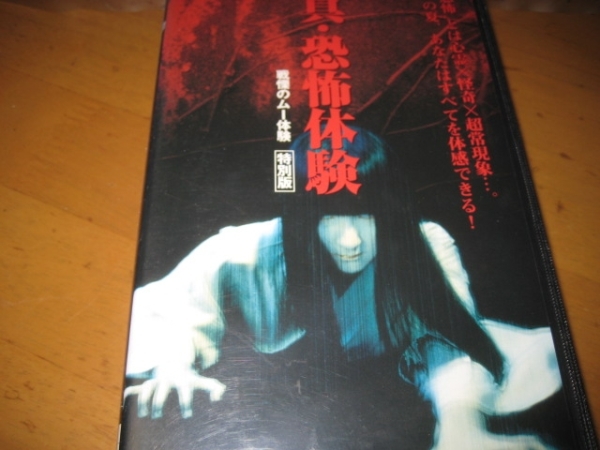 真・恐怖体験 戦慄のムー体験[特別版]田村美保/安田久美子の落札情報