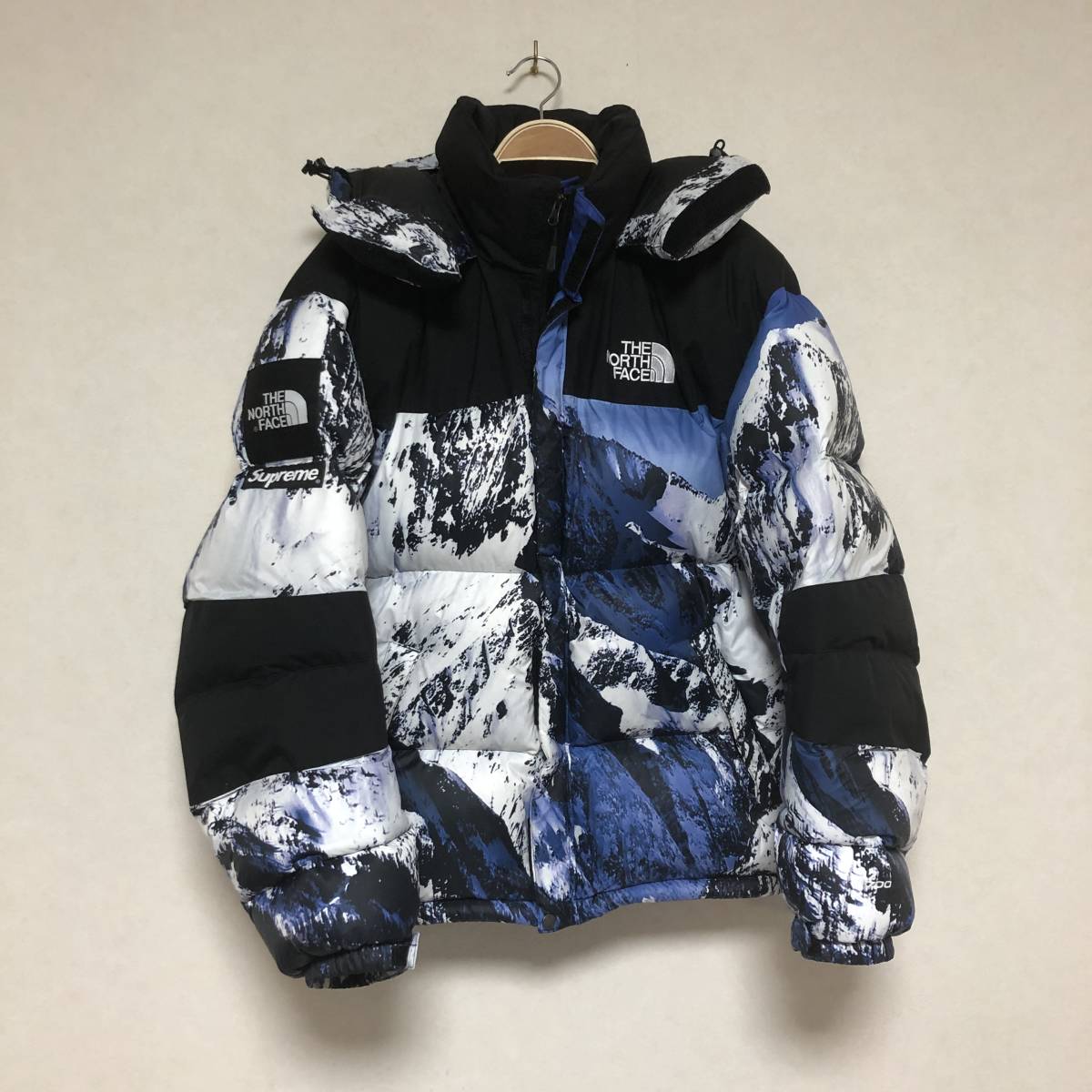 north face jacket mountain print