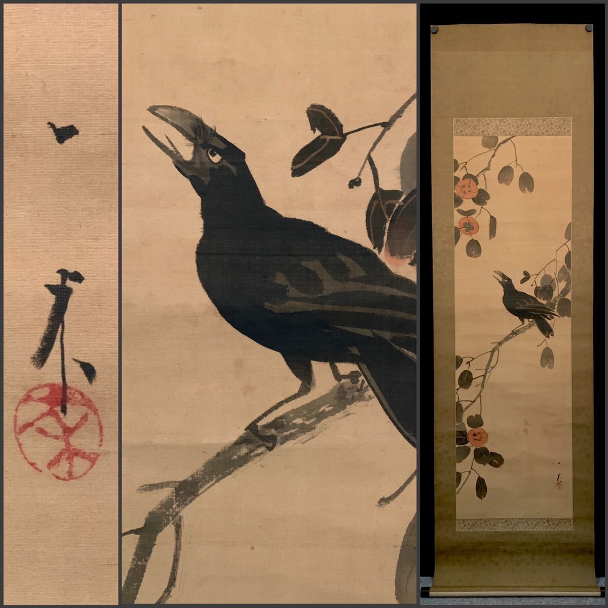 模写】吉】1166 長井一禾 柿烏図 まくり 河鍋暁斎師事 浮世絵師 掛軸