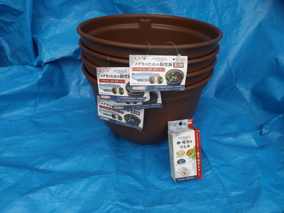 新品同様 メダカ元気 メダカ元気メダカのための飼育鉢 茶 320 riosmauricio.com 新品同様 メダカ元気 メダカ元気メダカのための飼育鉢 茶 320 riosmauricio.com