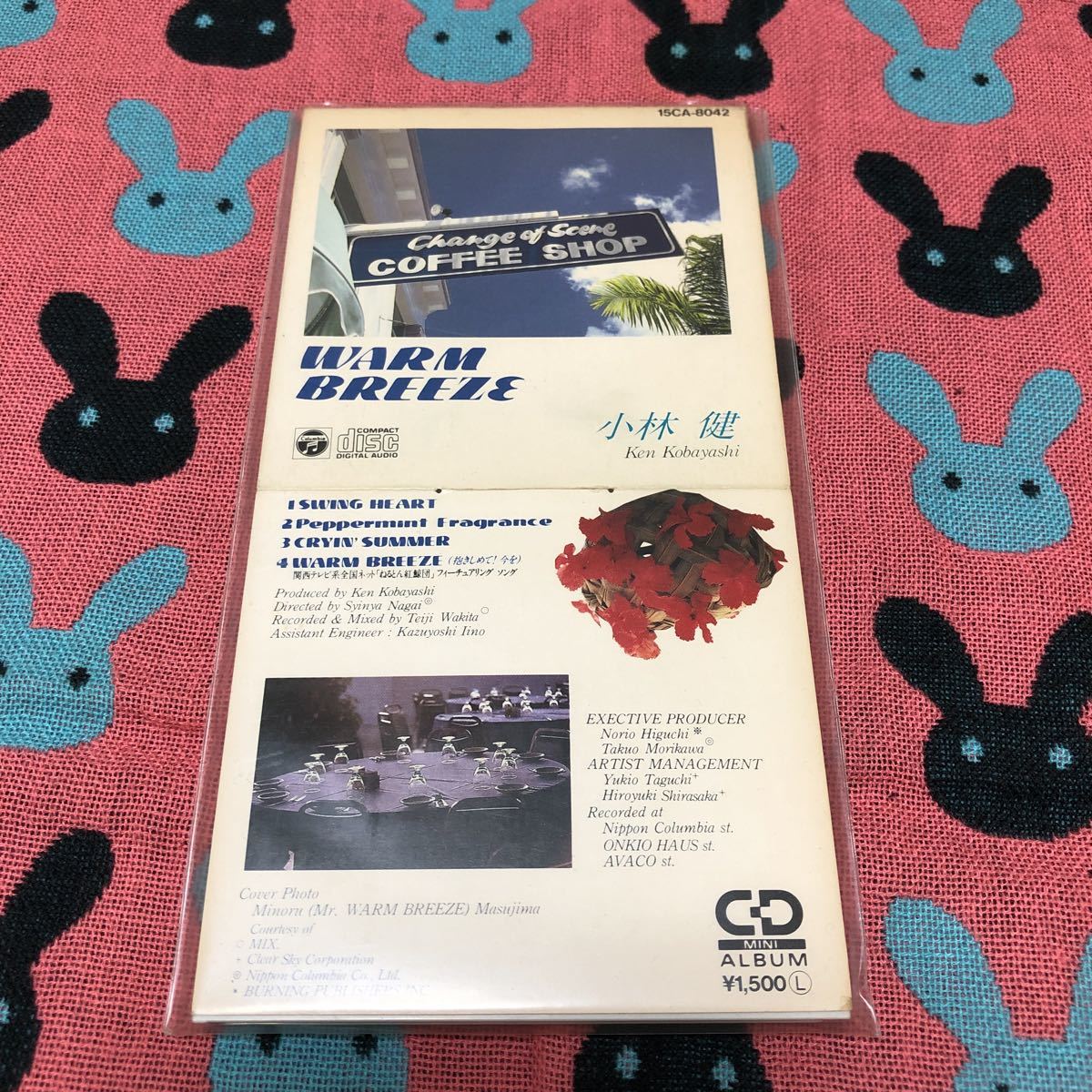 小林健 WARM BREEZE - 8cmCD EPレコード 公式通販 トレー半分なし