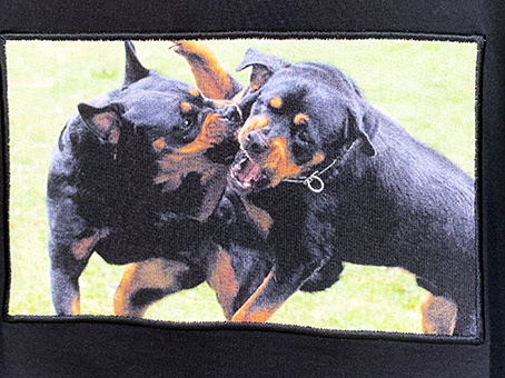 新品 新品未使用タグつき ジバンシィ黒ロットワイラー犬プリントtシャツxs ジバンシーgivenchy の落札情報詳細 ヤフオク落札価格情報 オークフリー スマートフォン版