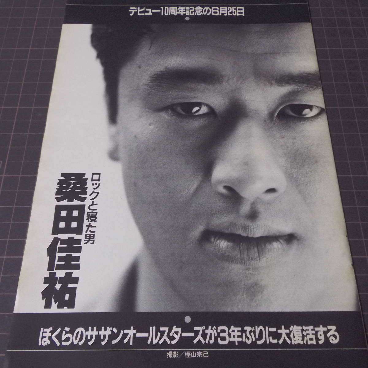 サザンオールスターズ 桑田佳祐 切り抜き 200P 貴重！80年代