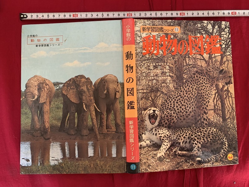s☆ 昭和レトロ 初版 学習図鑑シリーズ⑪ 小学館の動物の図鑑 小学館