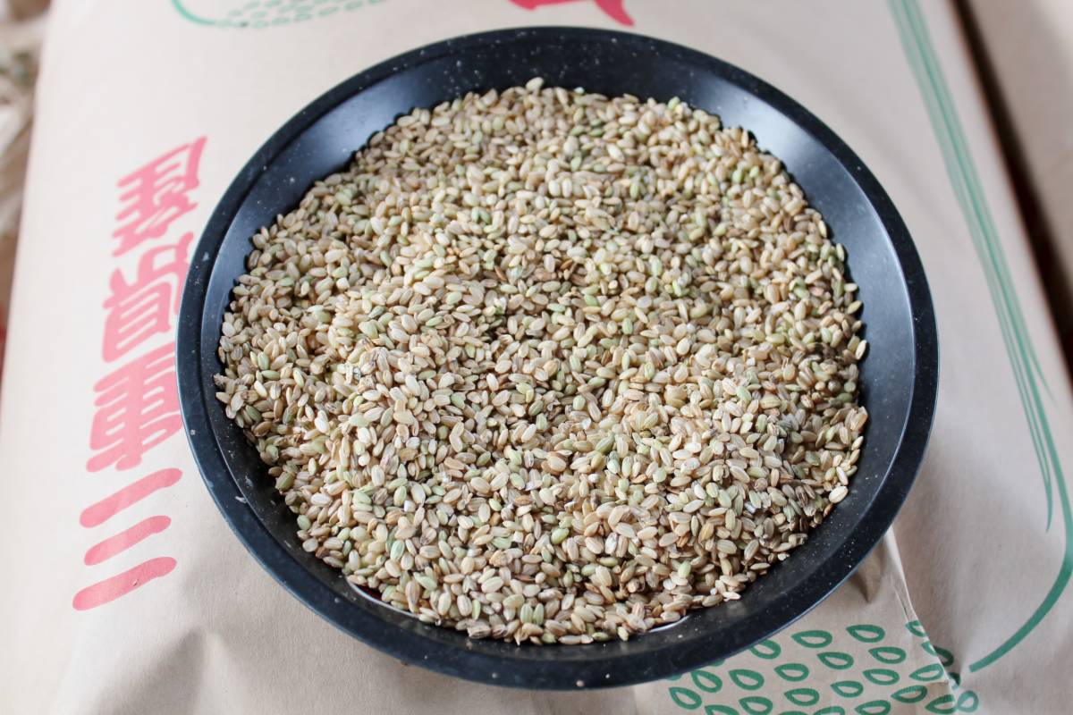 令和6年くず米25キロ 新品】令和2年 新米のくず米 小米