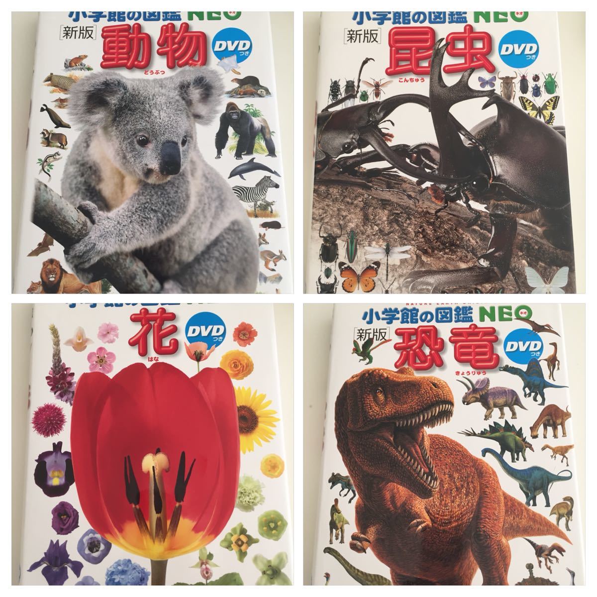 小学館の図鑑neo Dvd付き 動物 花 昆虫 恐竜 王道4冊セット アルコール消毒済み 美品 色褪せ 匂い 黄ばみなし の落札情報詳細 ヤフオク落札価格情報 オークフリー スマートフォン版