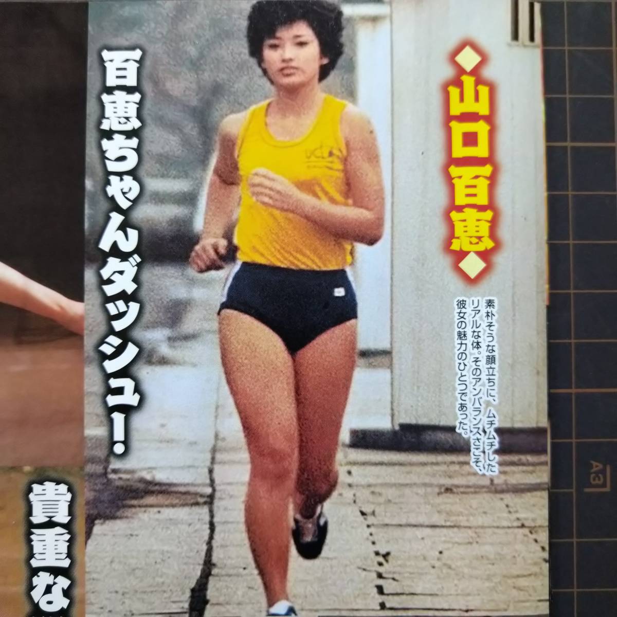 ムチムチブルマー ◎お宝ハプニング～ブルマー☆山口百恵☆榊原郁恵☆菊池桃子☆西村知美☆荻野目洋子☆浅香唯☆ほか #昭和#80年代アイドル【切り抜き5p】の落札情報詳細  - Yahoo!オークション落札価格検索 オークフリー