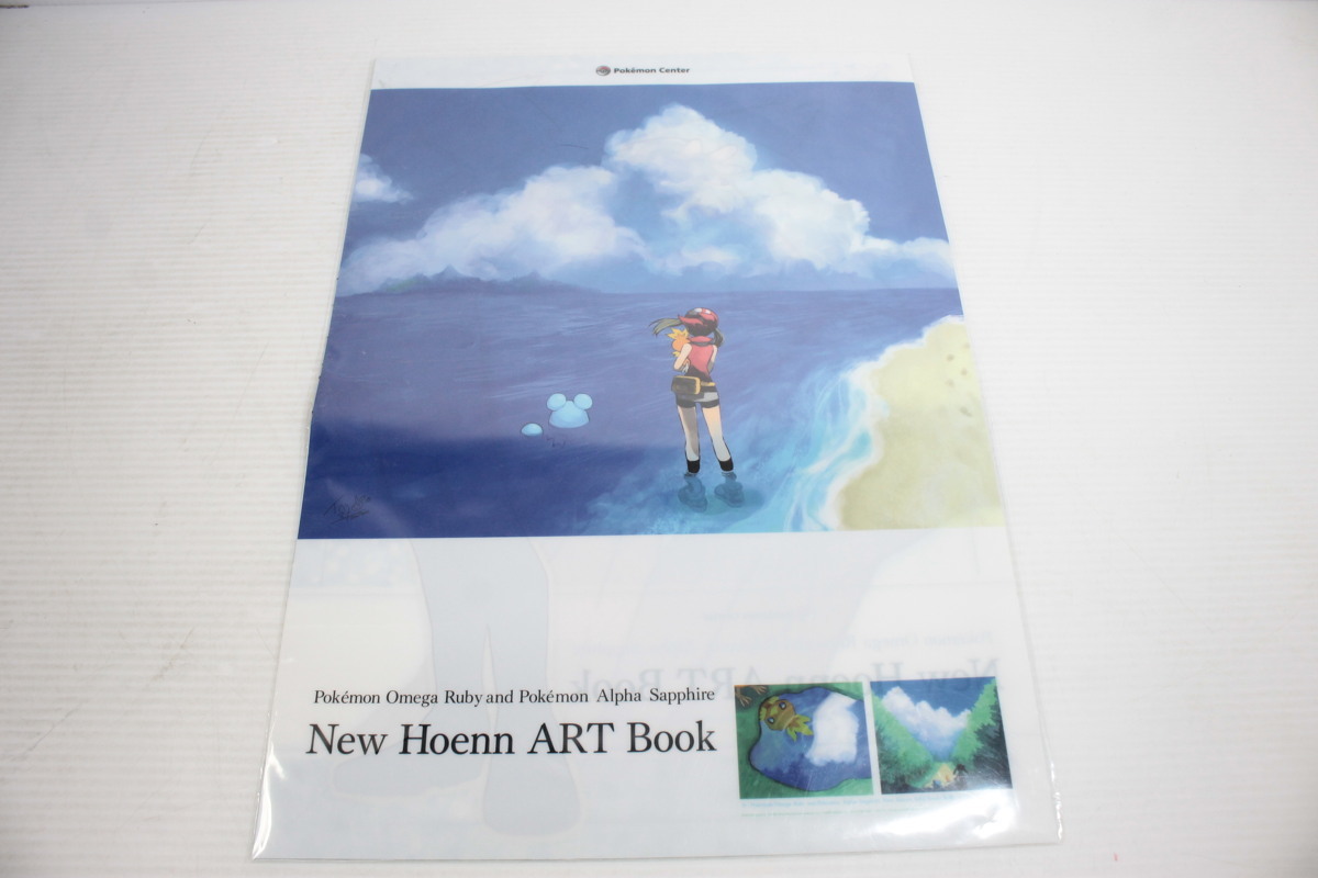 New Hoenn ART Book　ニューホーエンアートブック ポケモン - New Hoenn ART Book & Alola ART Bookの通販 by ただ