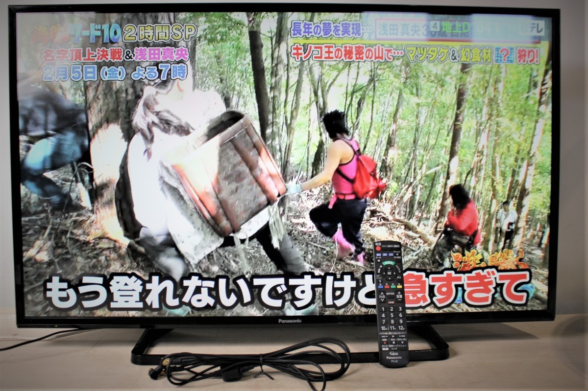 43インチ型 液晶テレビ Panasonic VIERA TH-43F300 【公式通販】