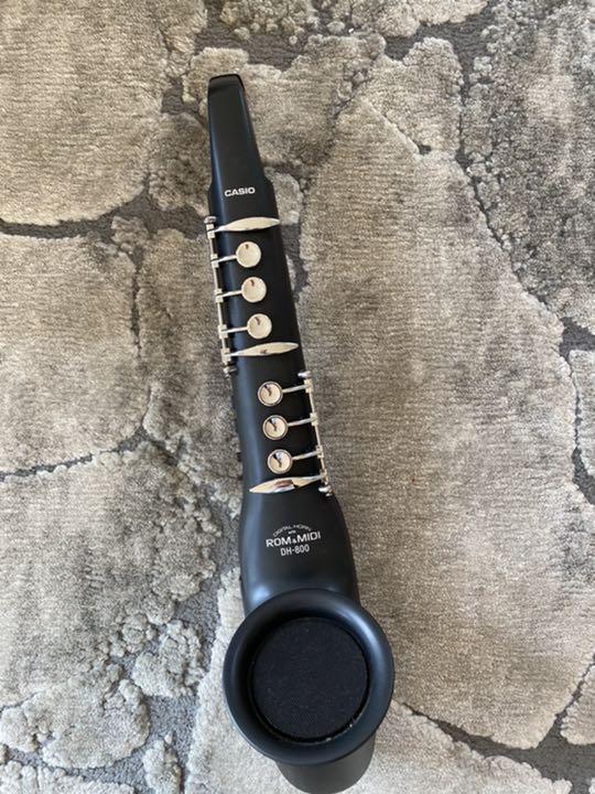 カシオ CASIO DH-800 デジタルホーン