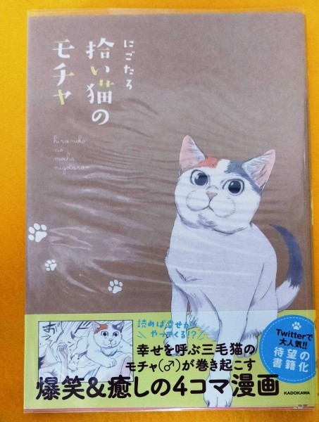 拾い猫のモチャ １巻 にごたろ ネコポス対応 の落札情報詳細 ヤフオク落札価格情報 オークフリー スマートフォン版
