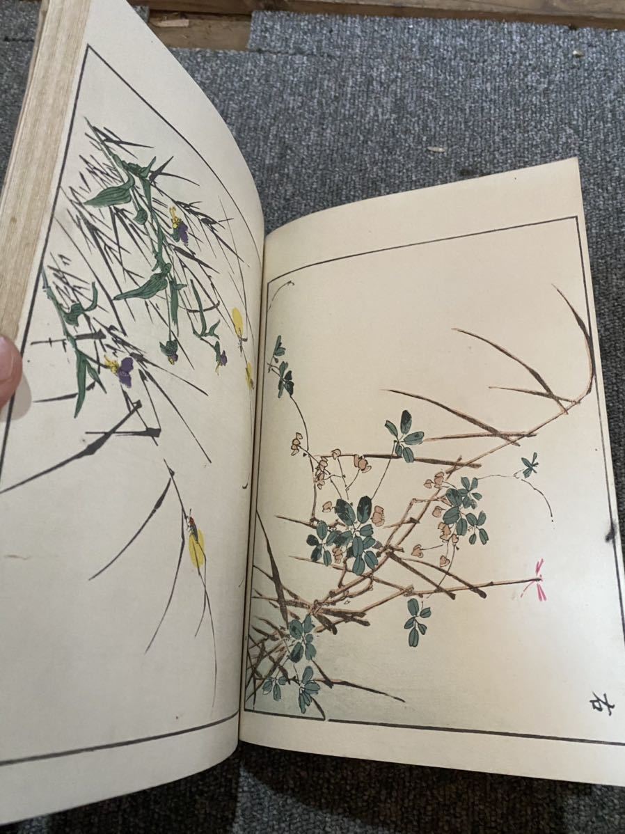 「花鳥画集」春名錦山 山田芸艸堂刊 29丁56図 明治38年刊1冊|和本 木版画 花鳥画集 明治36年 春名錦山 山田芸艸堂 色彩木版画 の落札情報詳細