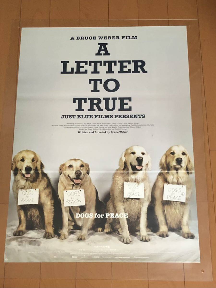 ブルースウェーバー　トゥルーへの手紙　映画ポスター Amazon.co.jp: m854 映画ポスター トゥルーへの手紙 A LETTER TO