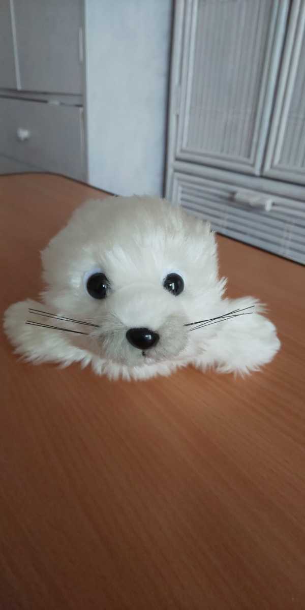 アザラシ 赤ちゃん 白 ホワイト 鳴く ぬいぐるみ 誕生日 プレゼントに 