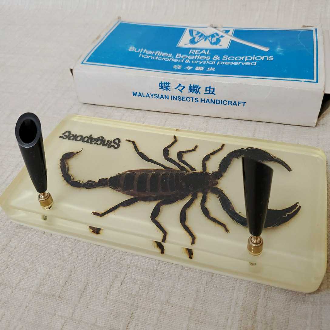 Scorpion ペン立て Scorpion ペン立て 【公式通販】