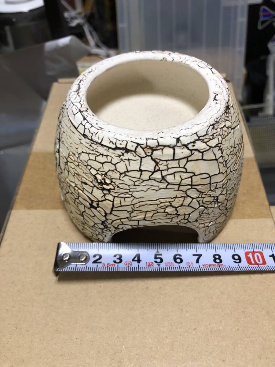 爬虫類 シェルター レオパ ニシアフ ウェットシェルター ボーダー M