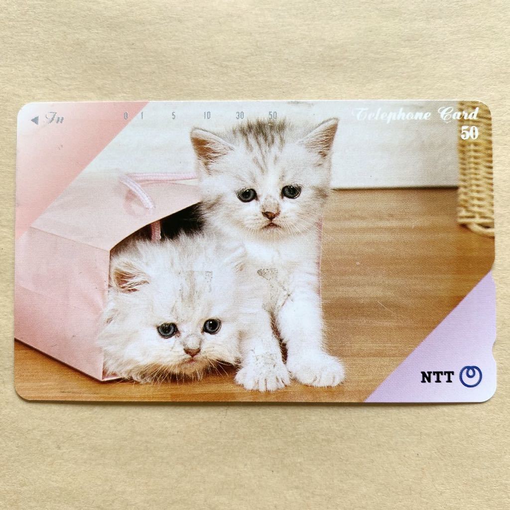 高級品 未使用 テレホンカード テレカ 猫 写真 50度 ポイント消化 テレフォンカード 子猫 Paroissesaintmaximin Fr