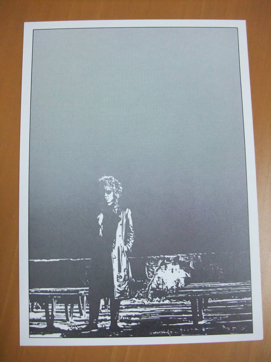 さくらいはじめ 細野晴臣 原画