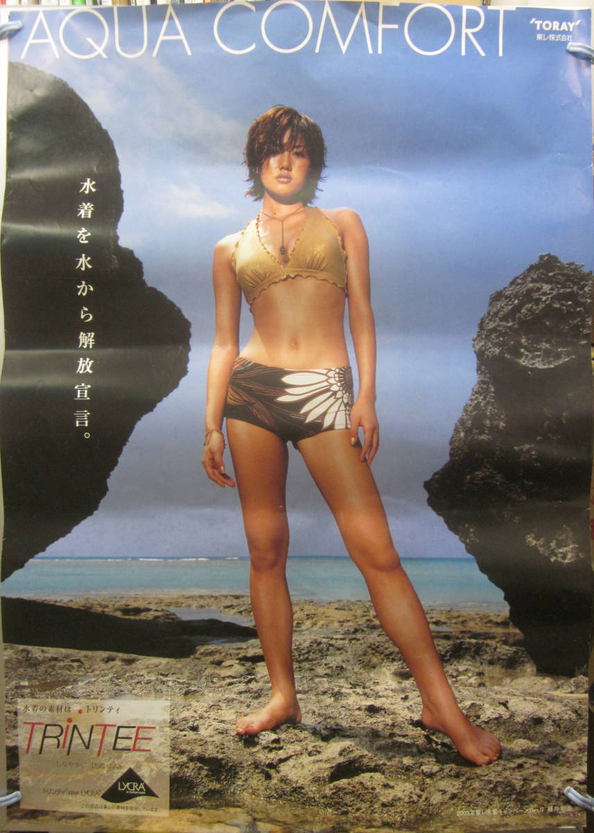 エレン・マリー・ミモリ 資生堂サンズパクト 大型b1サイズポスター 肌