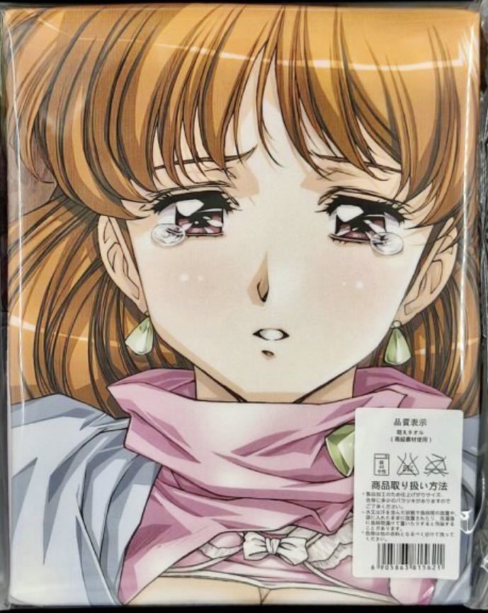 アリエータ・リュイス グローランサー2 うるし原智志 美少女イラスト