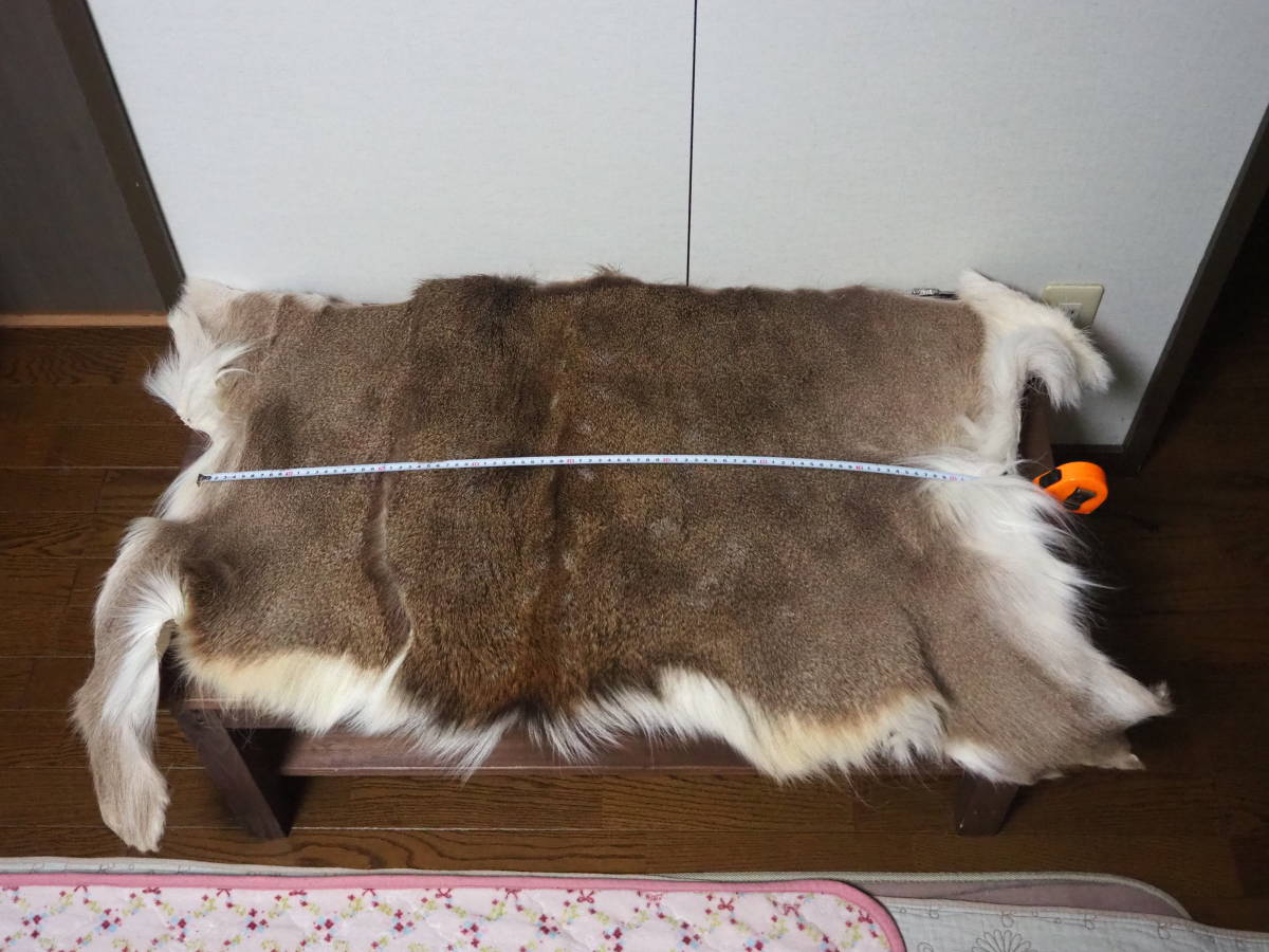 【目立った傷や汚れなし】エゾ鹿毛皮半身ぶん88×55cm☆ディアヘアカディスシケーダマドラーゾンカーセミカメムシ作り放題☆敷物としてもオススメ