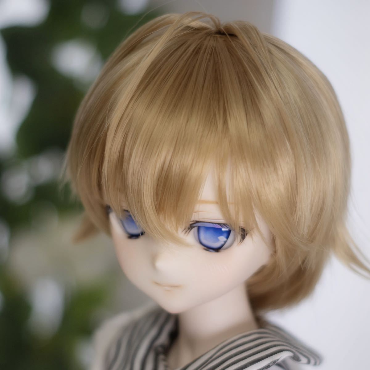 DDH-10 カスタムヘッド セミホワイト MDDなどに ドルフィードリーム