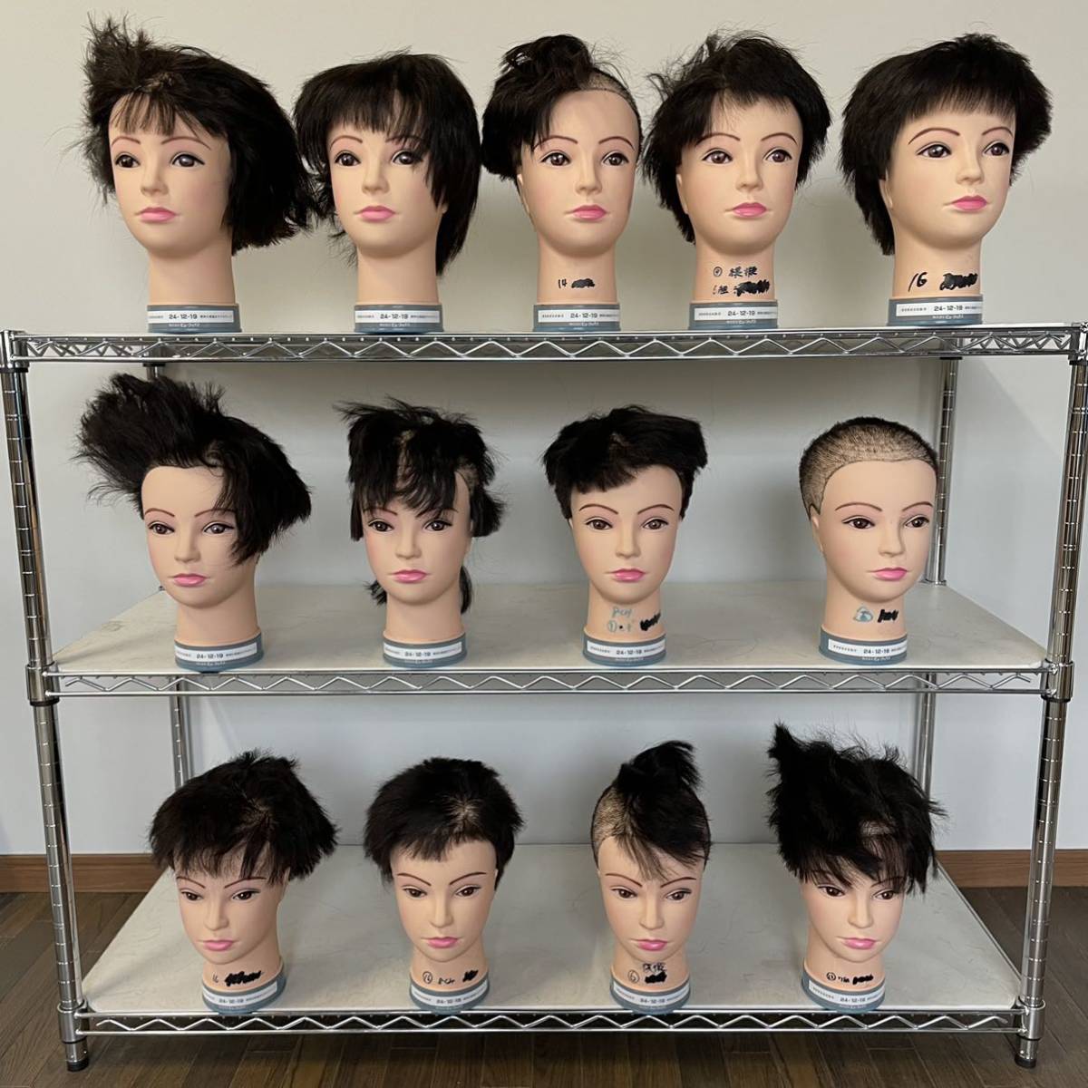 国家試験 カットウィッグ 24-12-13 11体セット｜美容師国家試験 本番