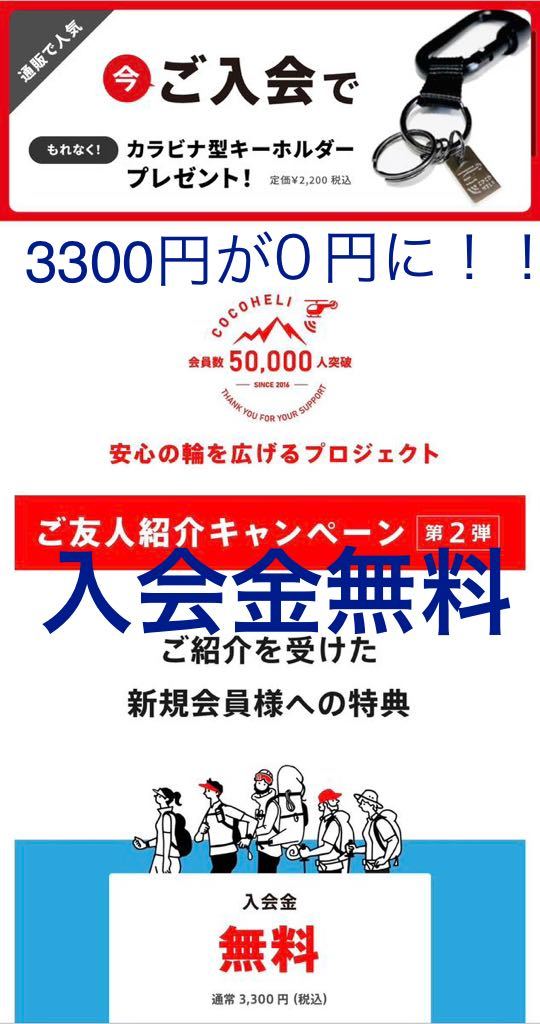 奇抜な形の枯木 流木 1.7kg 高さ37cm 天然木 自然物 オブジェ 流木オブジェ枯木