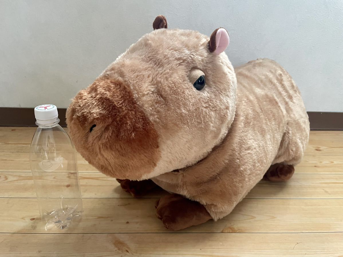 ほのぼのカピバラ　ぬいぐるみ　　カピバラ Amazon.co.jp: ほのぼのカピバラ ぬいぐるみ カピバラ : おもちゃ