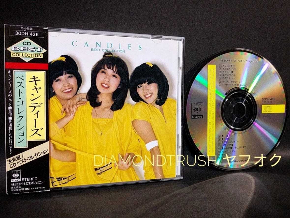 恥ずかしがり屋の原因は何ですか?