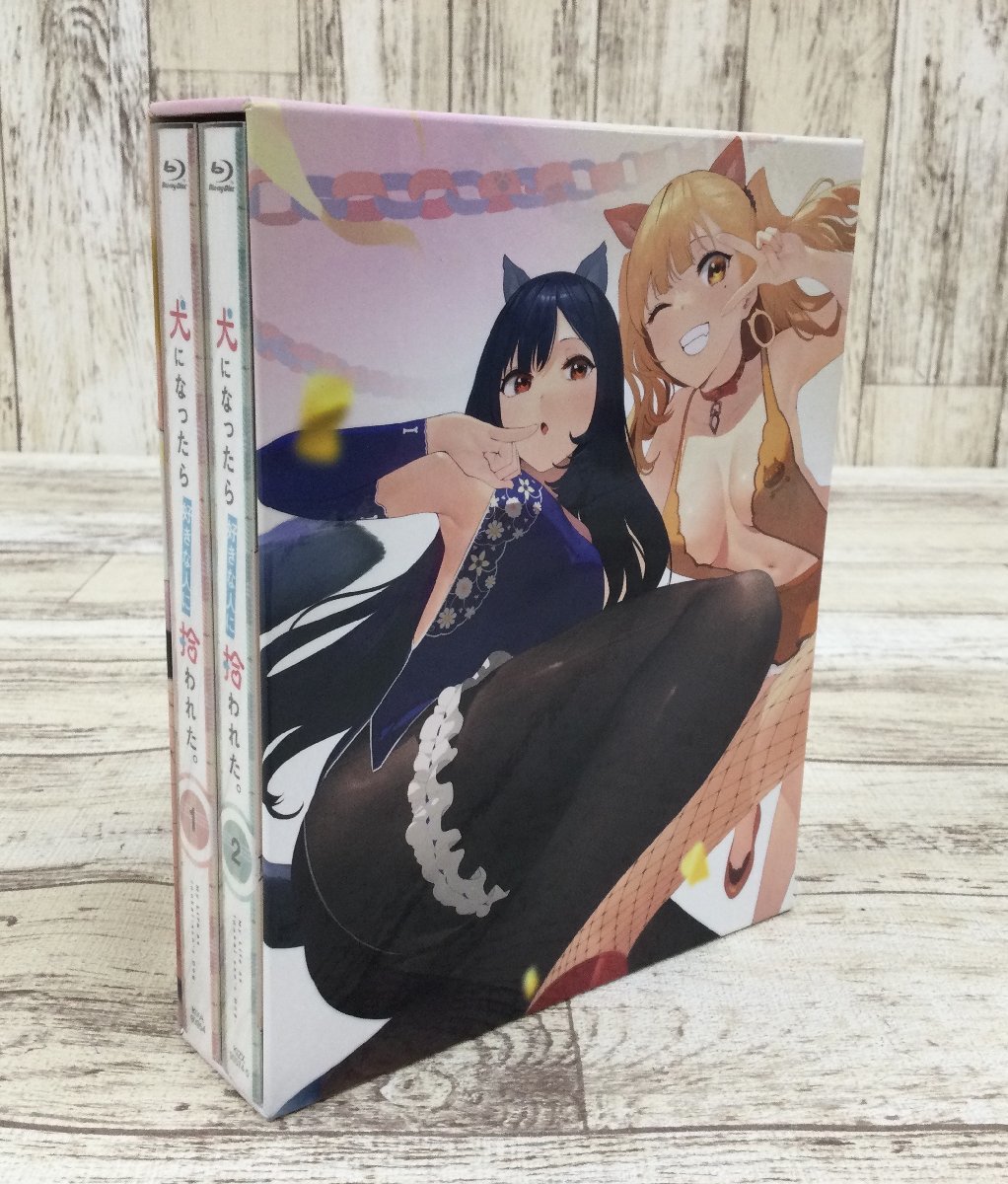 新品ケース収納　犬になったら好きな人に拾われた。　DVD 全3巻セット　レンタル 新品ケース収納 犬になったら好きな人に拾われた。 DVD 全