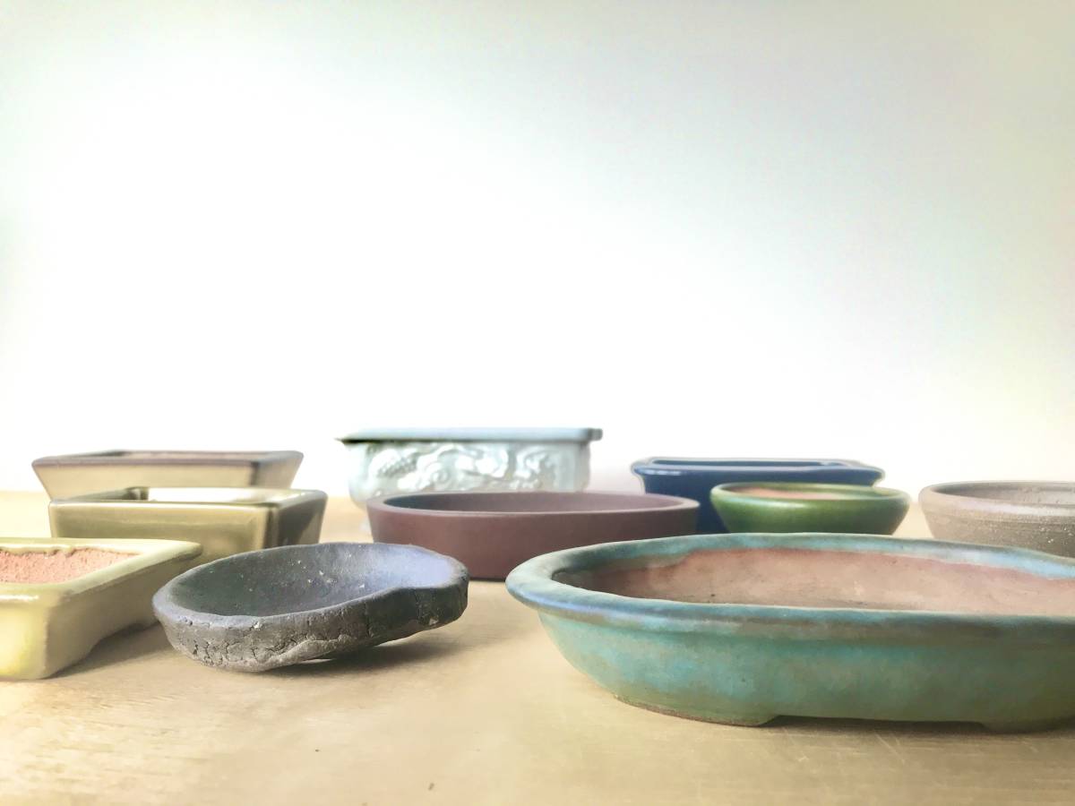 燿山 盆栽鉢 小品盆栽 山野草 （目立った傷や汚れなし】盆栽鉢10