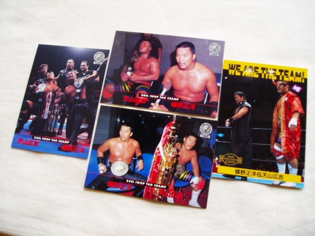 BBM プロレスカード1997 nWoジャパン No349 レギュラーカード 武藤敬司