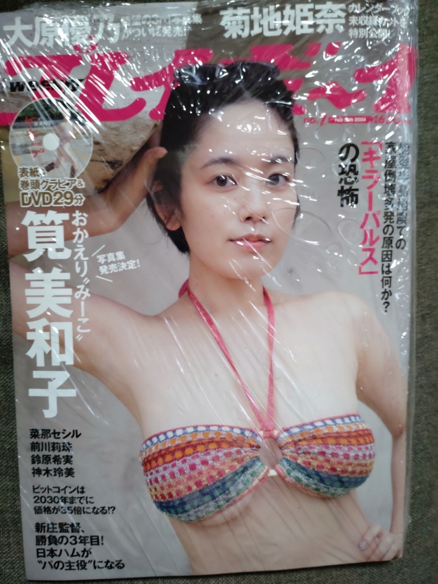 表紙 筧美和子 週刊プレイボーイ 2024年7号筧美和子DVD付録