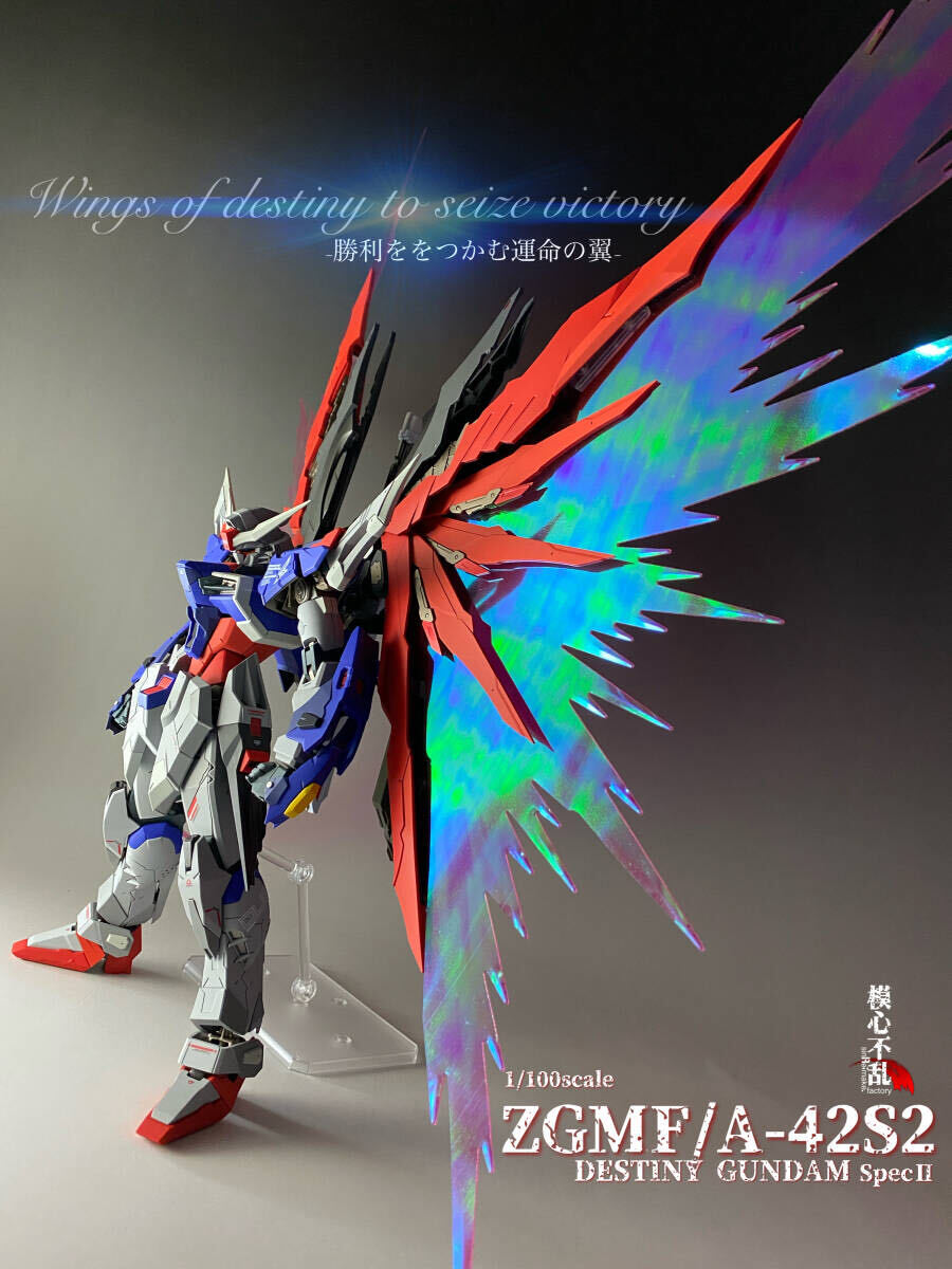 RG WING GUNDAM DESTINY GUNDAM セット
