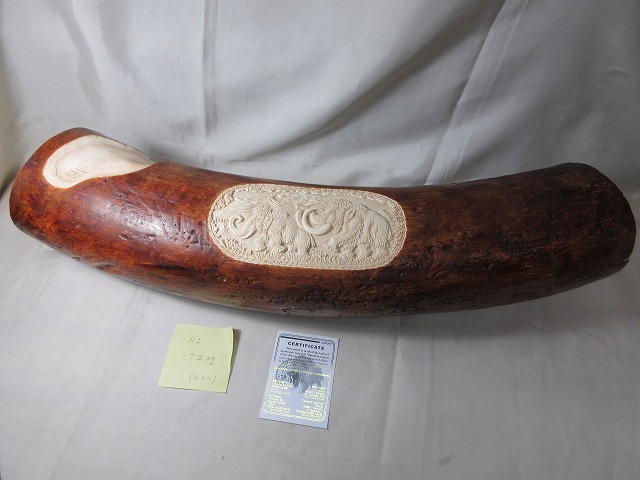 マンモス牙 置物 本物保証 ロシア産