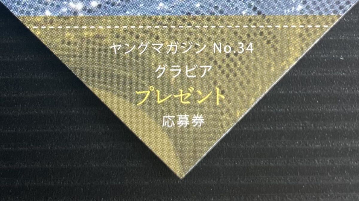 未使用】ヤングマガジン12号 直筆サイン入りチェキプレゼント応募券  