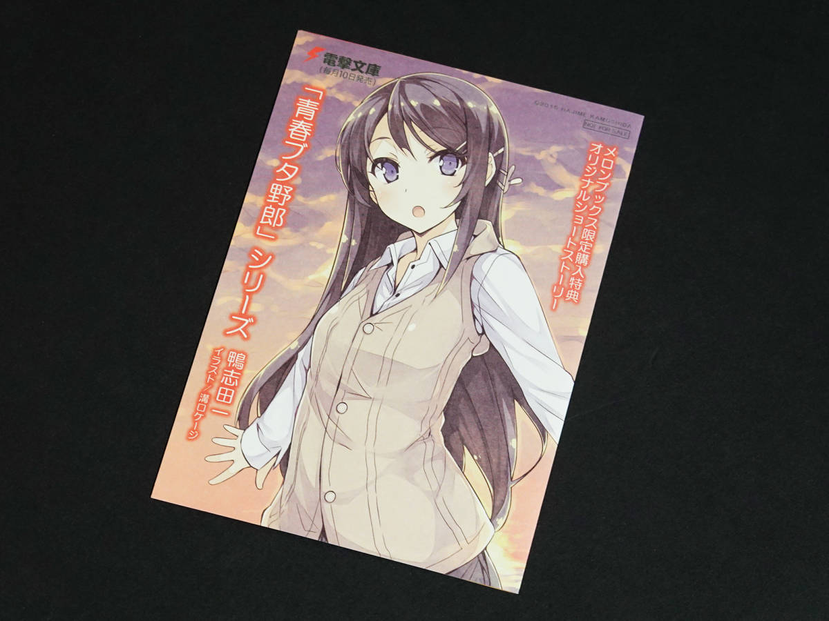 小説7巻8巻（7弾8弾）青春ブタ野郎はハツコイ少女の夢を見ない 青春 