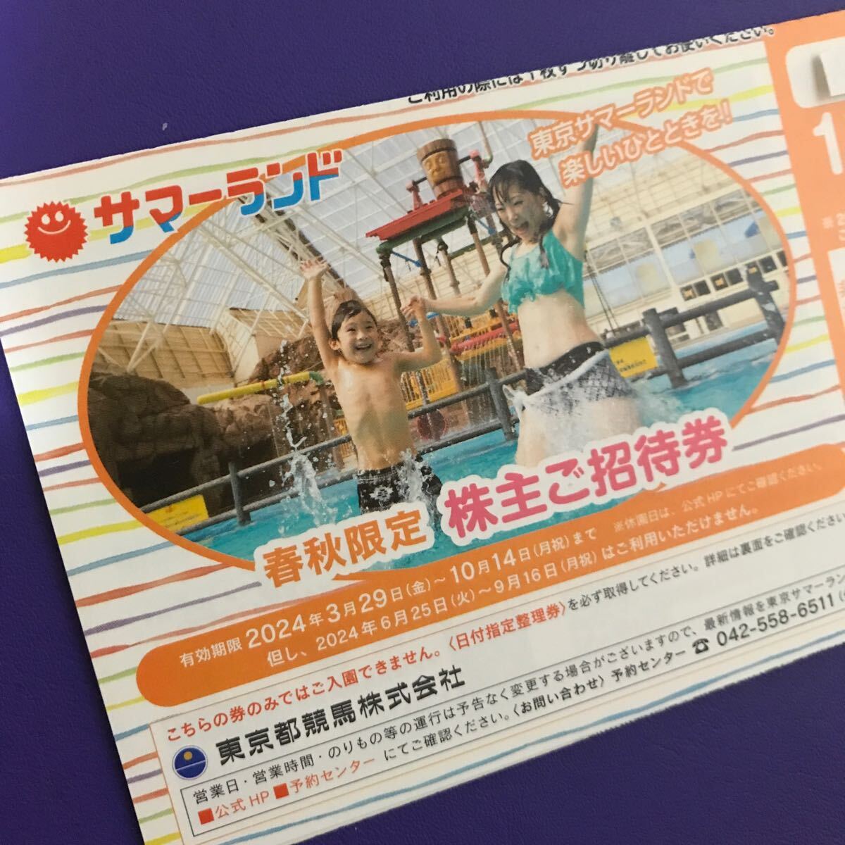 サマーランド 株主招待 フリーパス 8枚 9月から有効 東京サマーランド 株主 ご招待券 フリーパス 公式通販