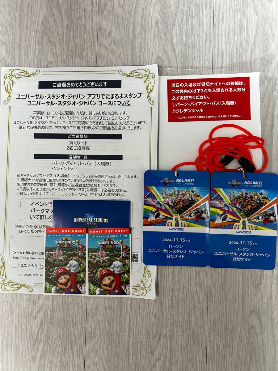 11/15 ローソン 貸切ナイト ペア USJ ニンテンドーエリア入場券付き 11/15 ローソン 貸切ナイト ペア USJ ニンテンドーエリア入場券付き
