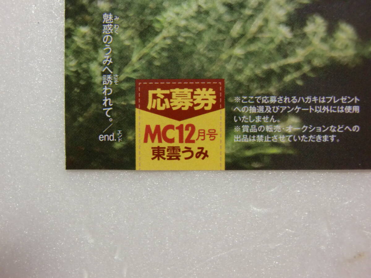 東雲うみ 直筆サイン入りチェキ 抽プレ 当選品 東雲うみ 直筆サイン