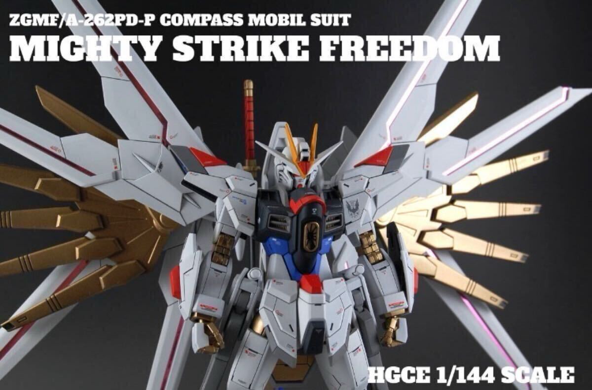 【枠出品】ビスティ　フリーダム枠 METAL BUILD ストライクフリーダム + デスティニーガンダム 2024