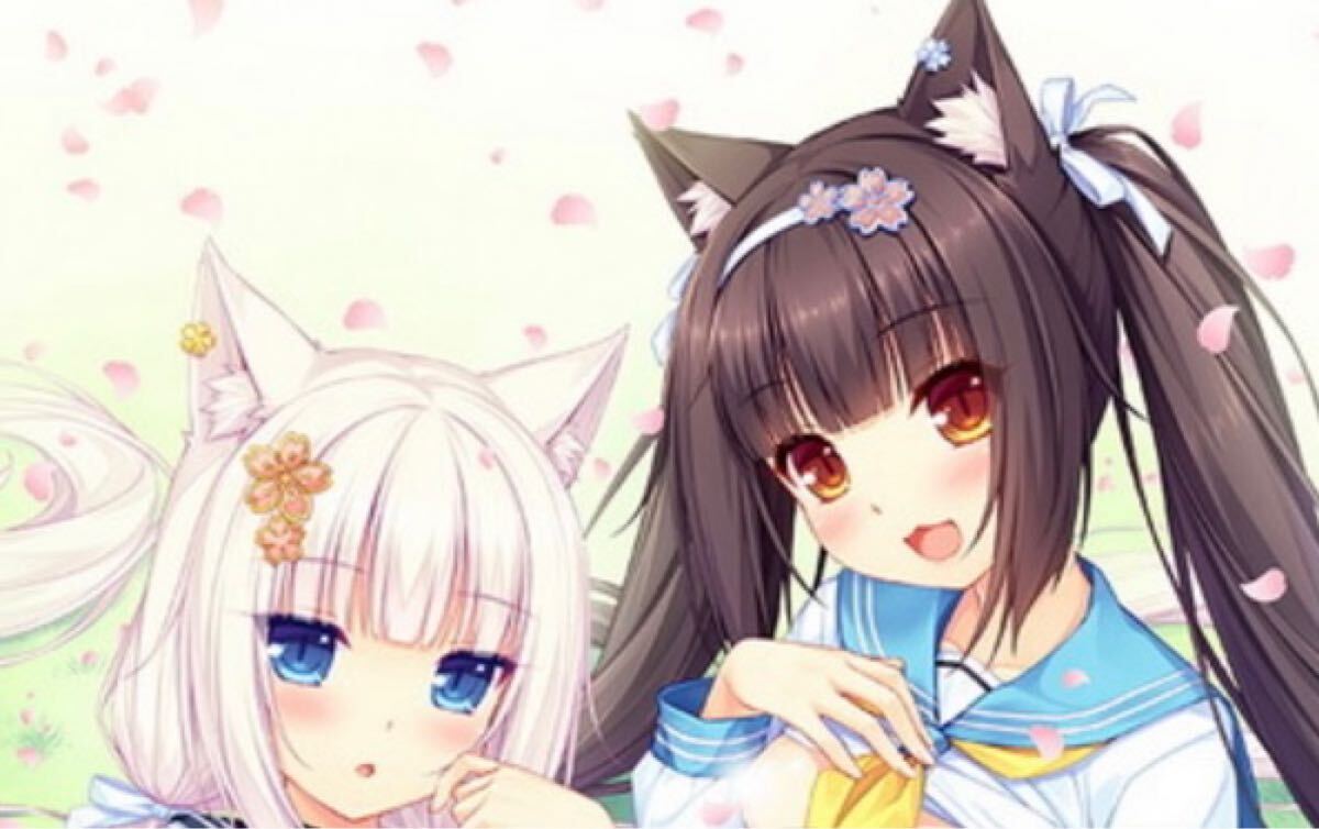 新品】NekoPara c96 ネコぱら ネコぱらいてん！ アクリル キーホルダー