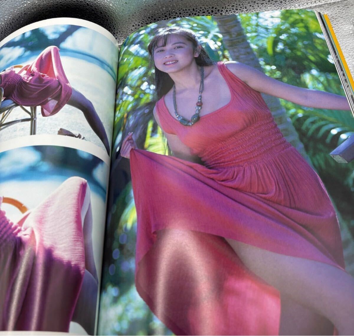 蒲池幸子 NOCTURNE ZARD 坂井泉水 蒲池幸子 NOCTURNE ZARD 坂井泉水