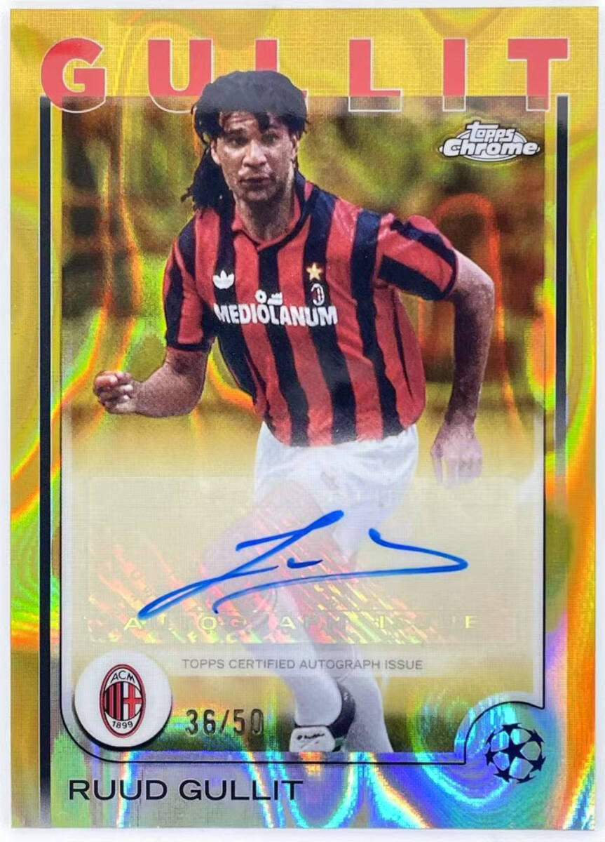 新品】ルート・フリット オランダ代表 直筆サインフォト/写真