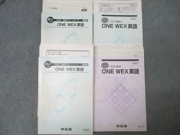 傷や汚れあり】SO82-026 河合塾 高校グリーンコース 東大現代文/ONE
