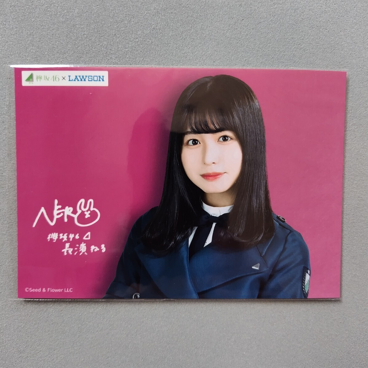 中古】欅坂46 長濱ねる 直筆サイン入り生写真 ☆証明シール付きの落札