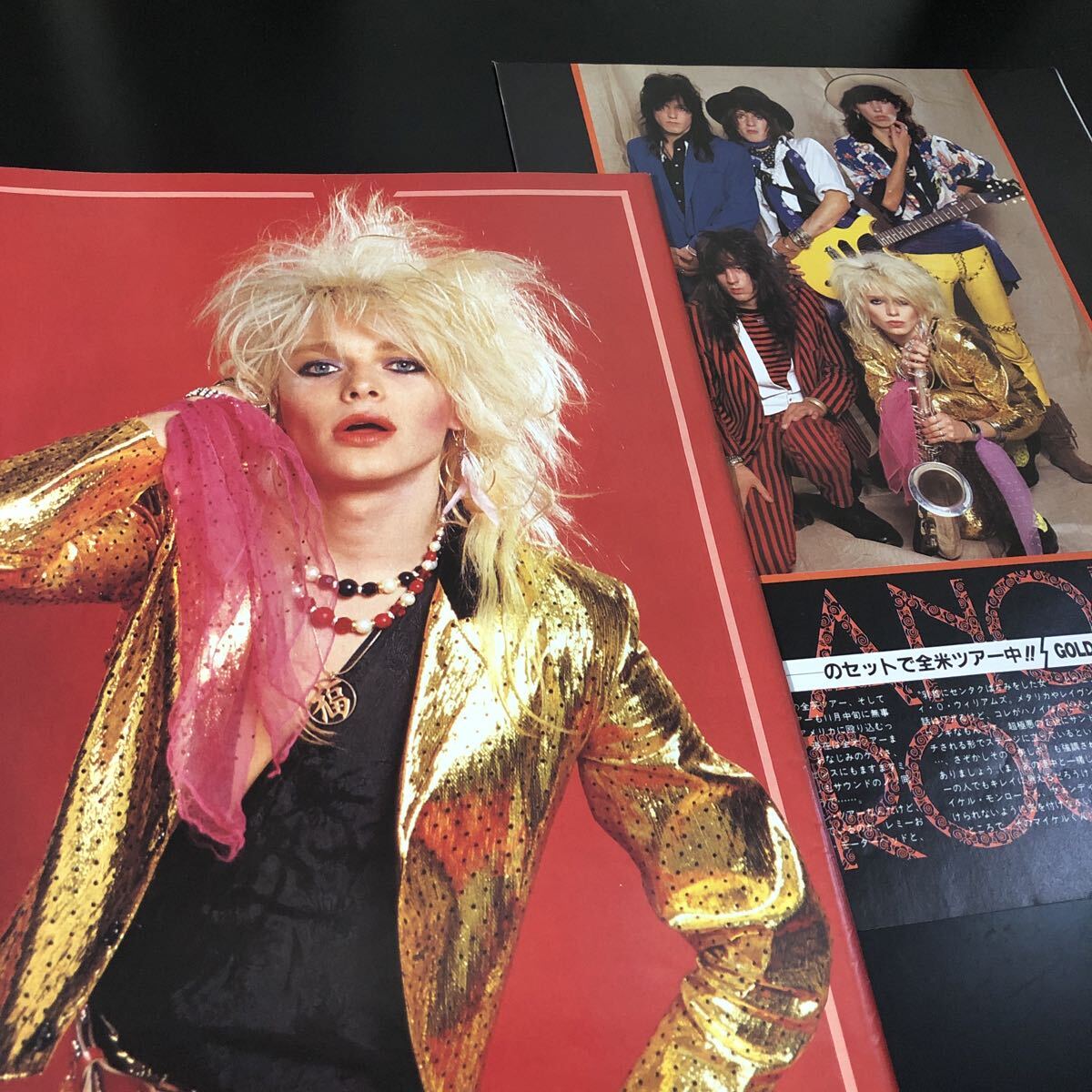 オフィシャル・ブック マイケル・モンロー/白夜の騎士 MICHAEL MONROE